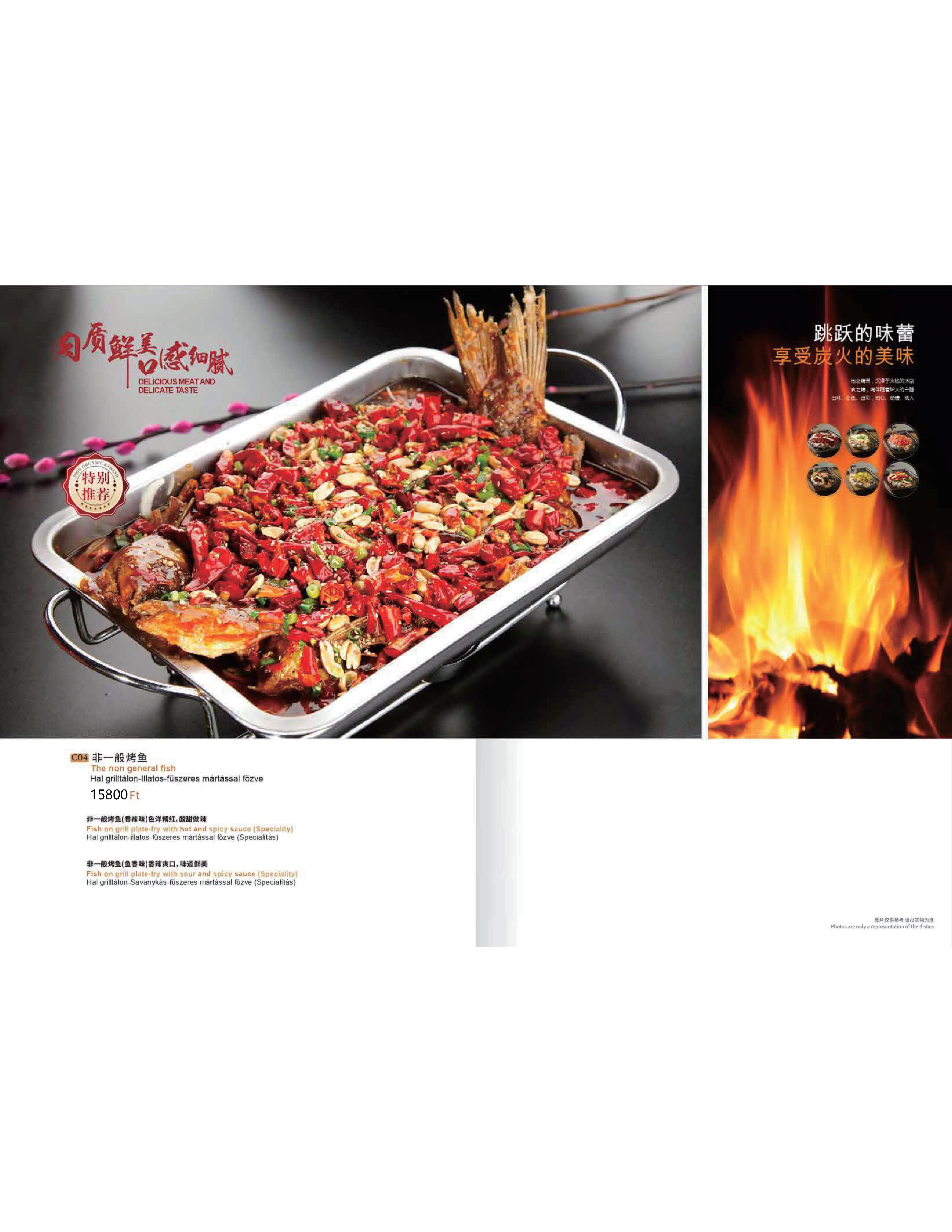 Menu Page 13